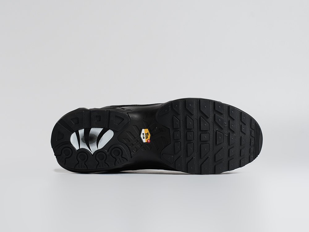 Кроссовки Nike Air Max Plus TN