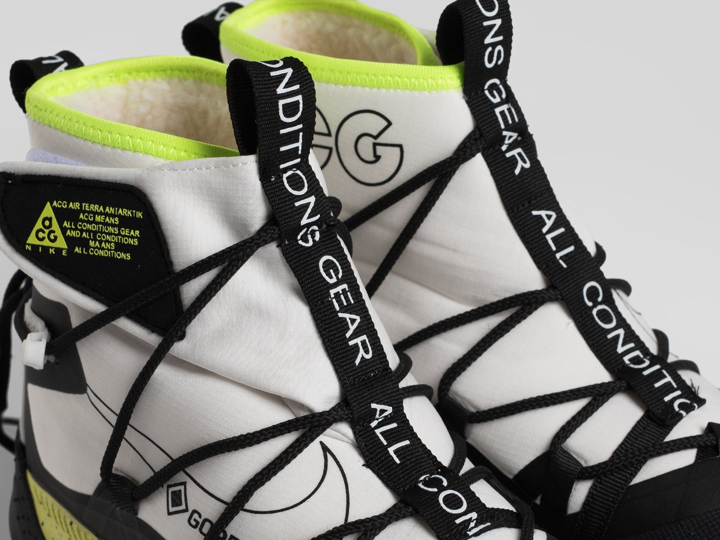 Зимние Кроссовки Nike ACG Air Terra Antarktik