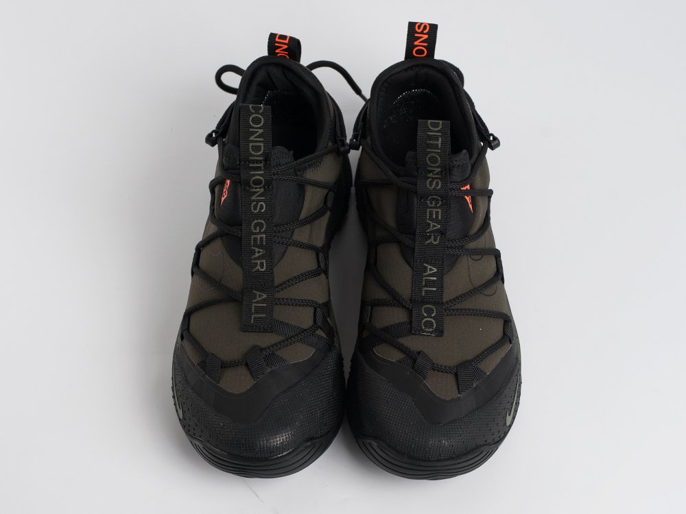 Кроссовки Nike ACG Air Terra Antarktik Low