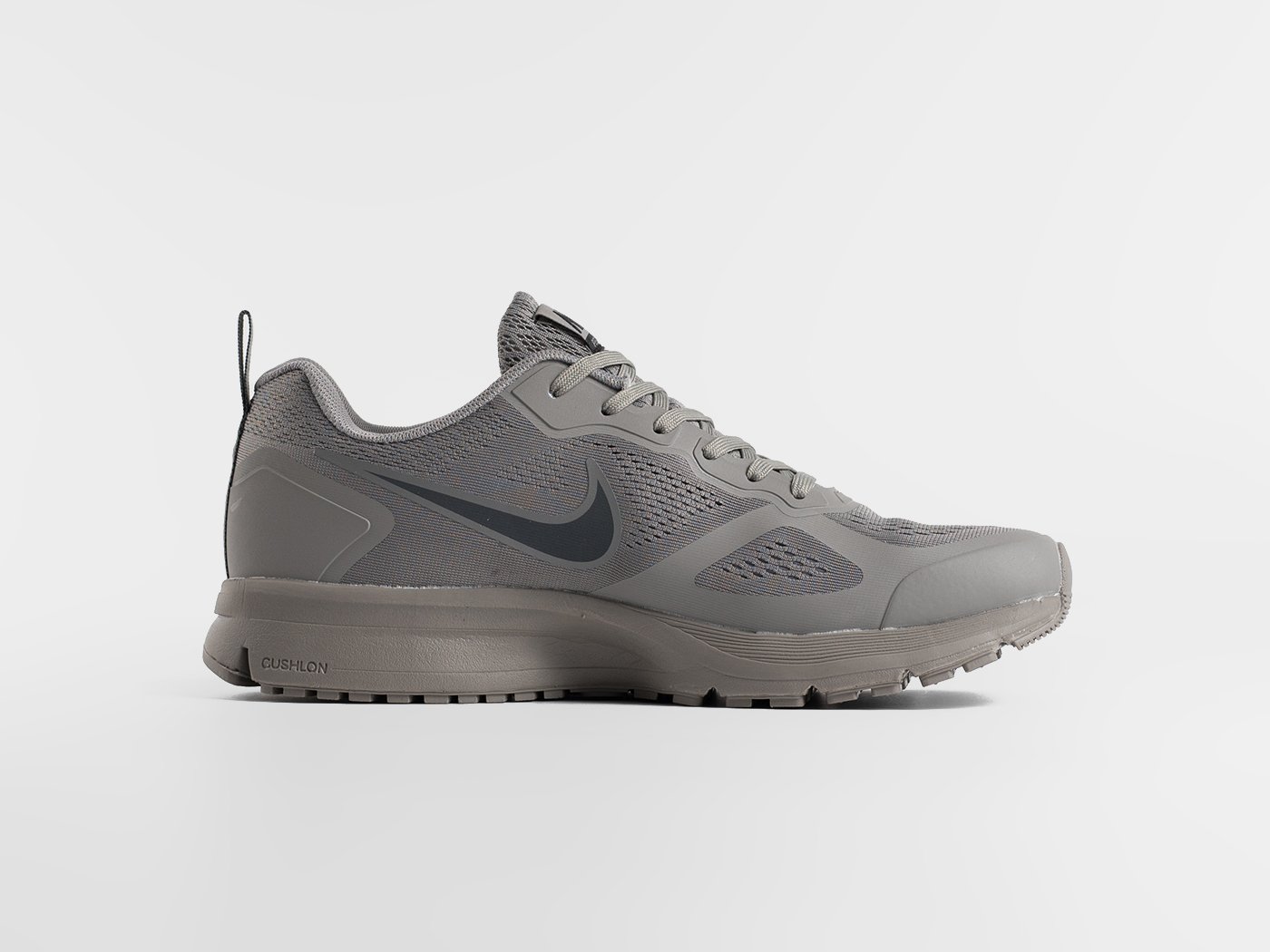 Кроссовки Nike Air Pegasus 30+