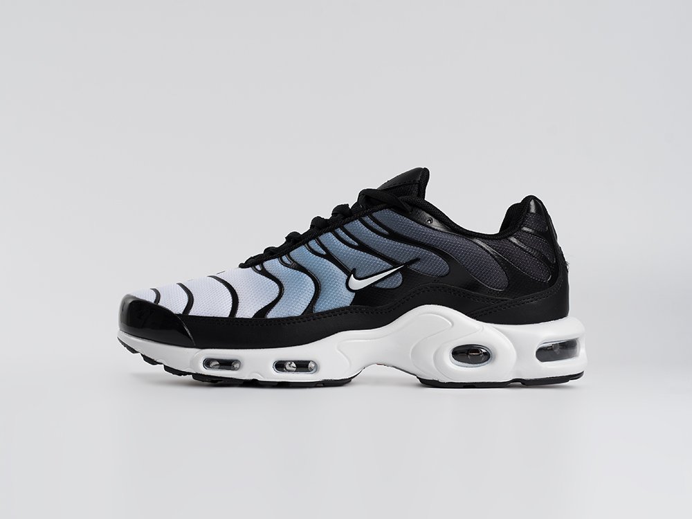 Кроссовки Nike Air Max Plus TN