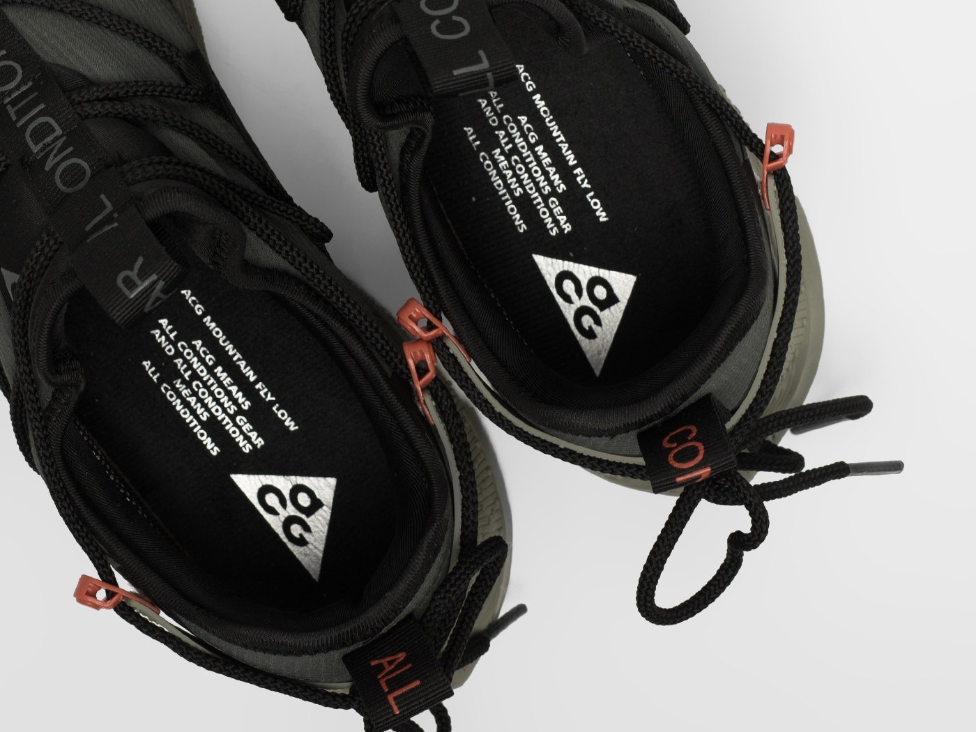 Кроссовки Nike ACG Air Terra Antarktik Low
