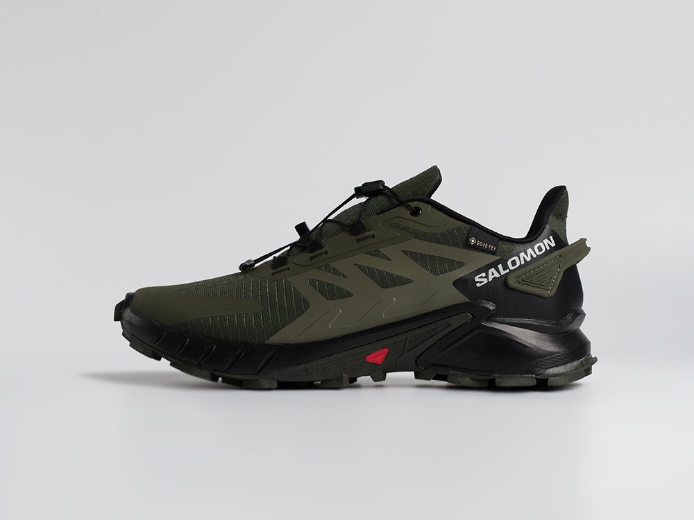 Кроссовки Salomon Alphacross 5 GTX