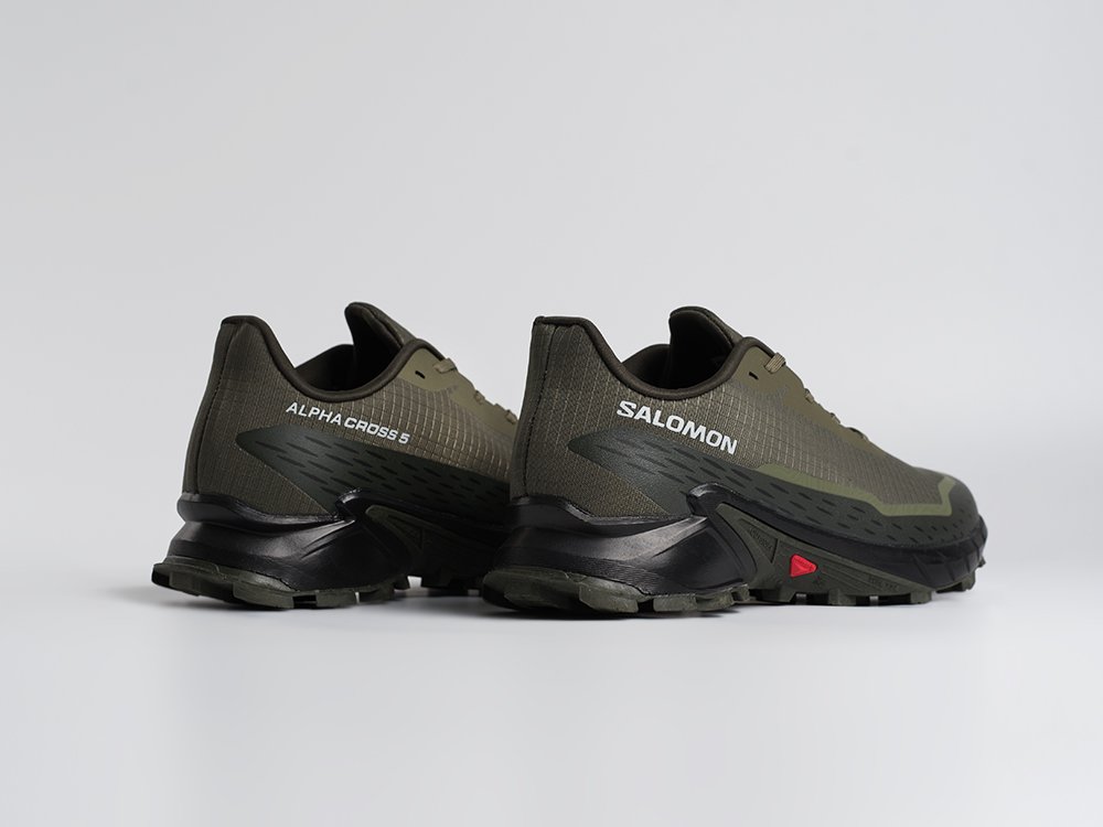 Кроссовки Salomon Alphacross 5 GTX