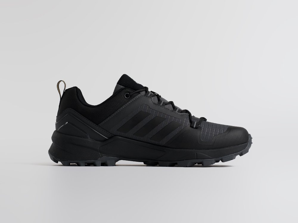 Кроссовки Adidas Terrex Swift R3