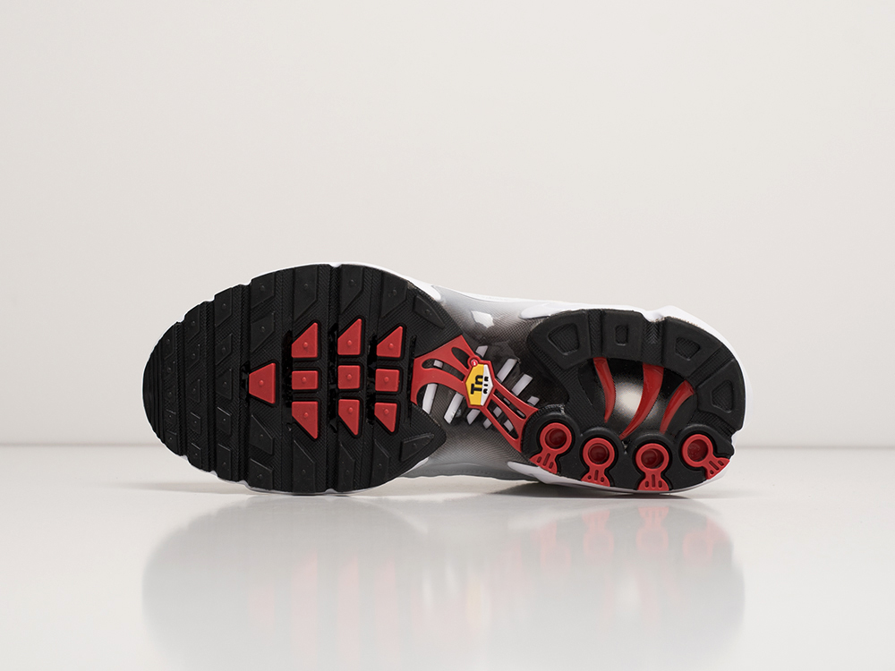 Кроссовки Nike Air Max Plus TN