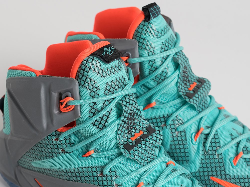 Кроссовки Nike Lebron 12