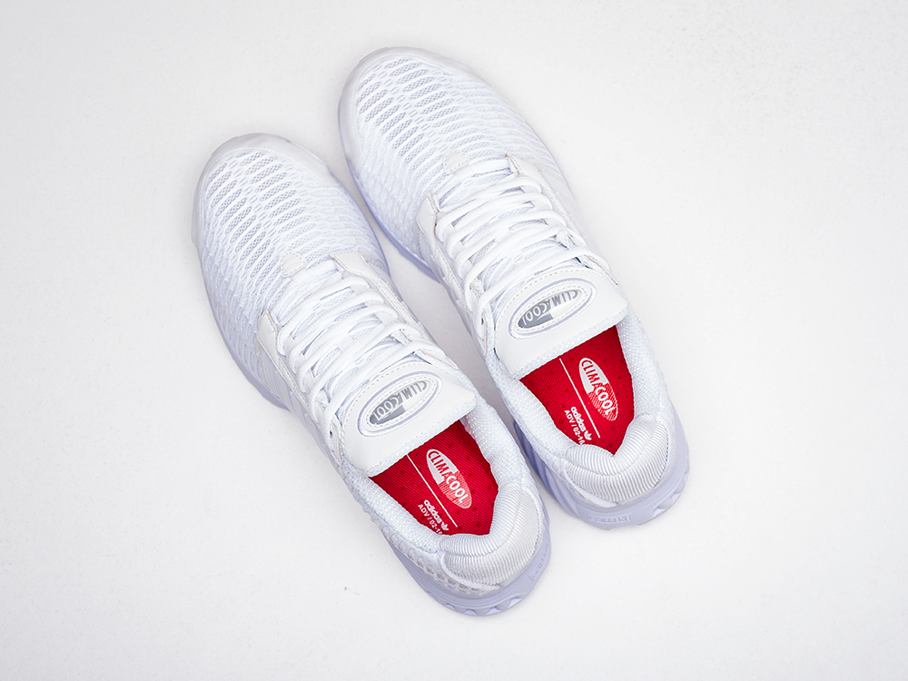 Кроссовки Adidas Climacool 1