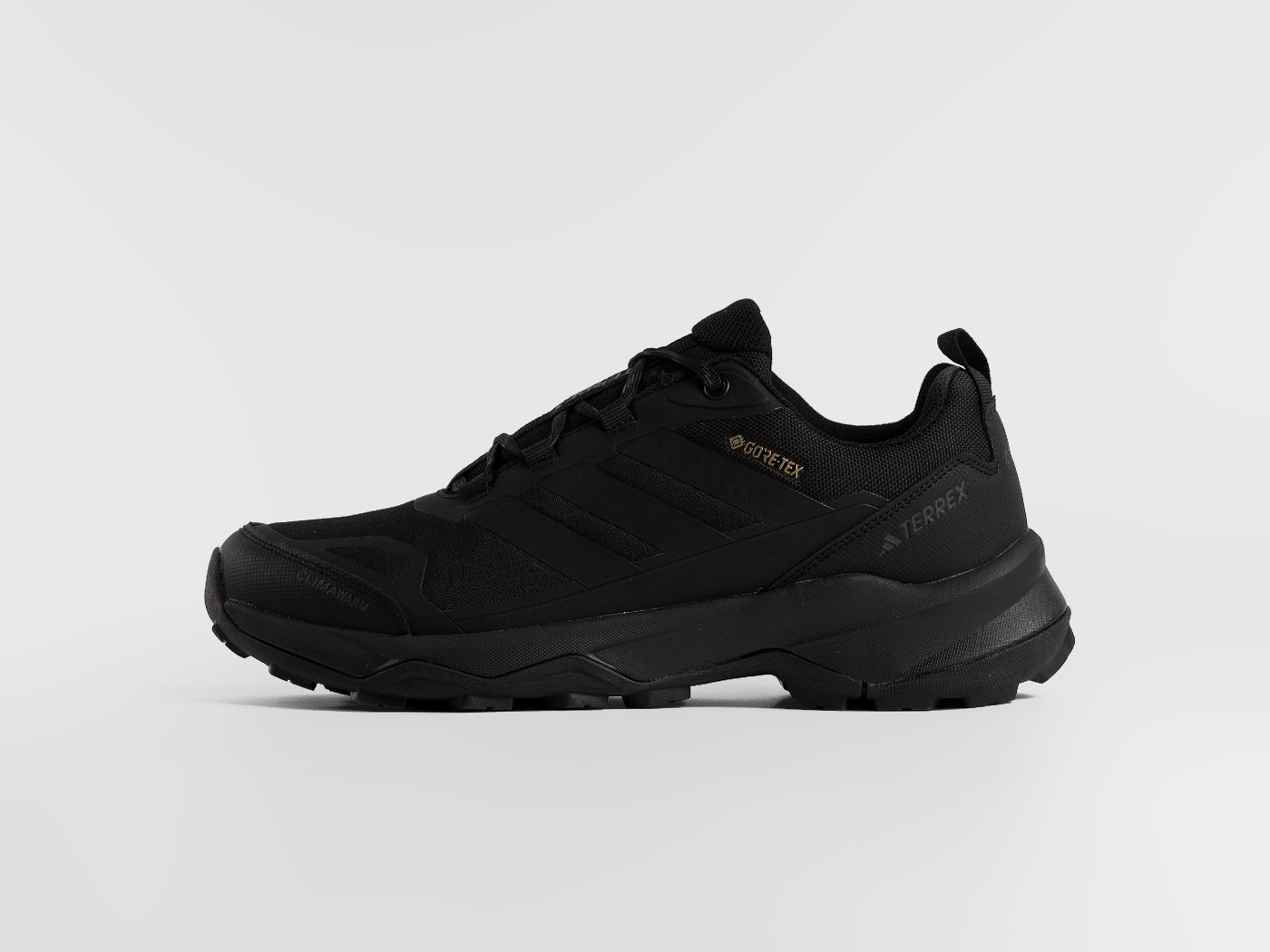 Кроссовки Adidas Terrex Skychaser AX5