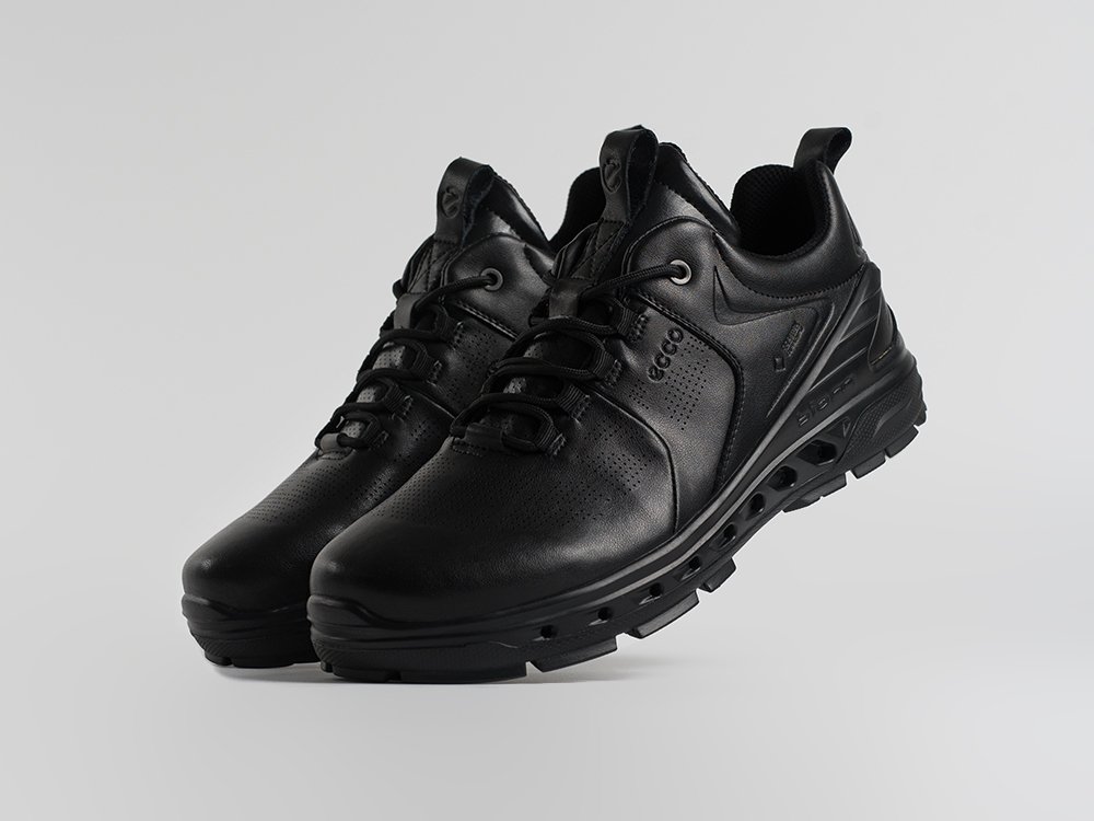 Зимние Кроссовки Ecco Biom