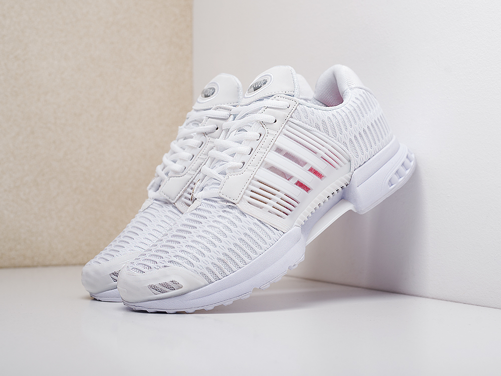 Кроссовки Adidas Climacool 1