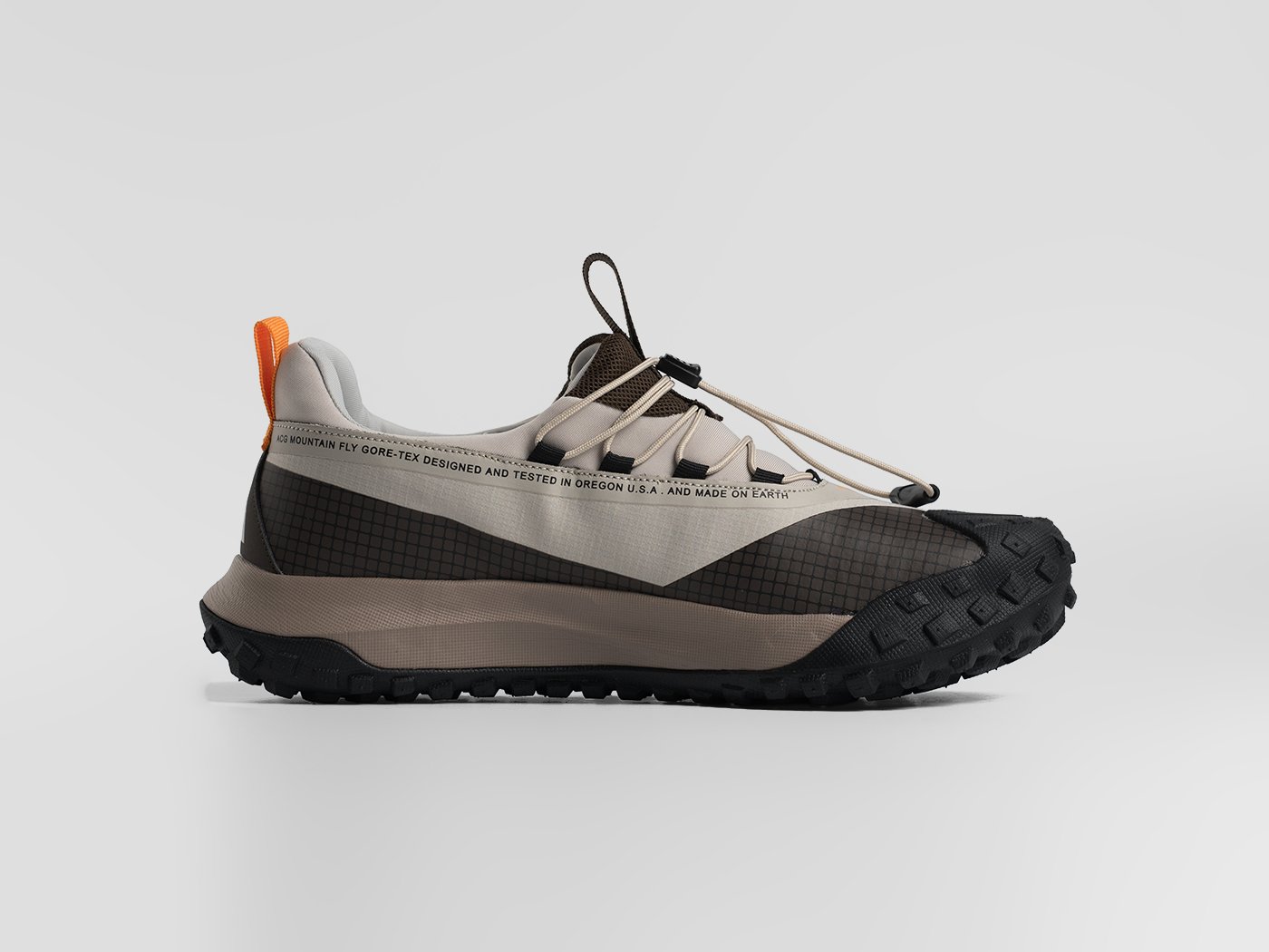 Кроссовки Nike ACG Mountain Fly Low