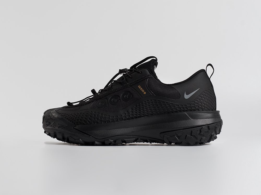 Кроссовки Nike ACG Mountain Fly Low