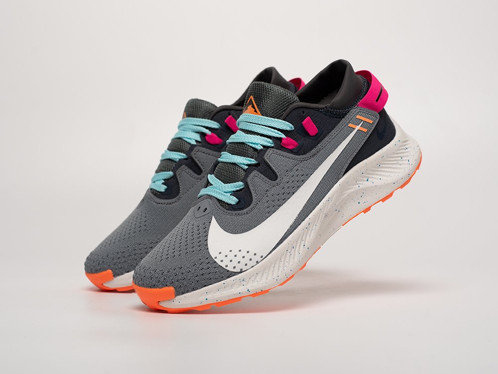 Кроссовки Nike Pegasus Trail 2