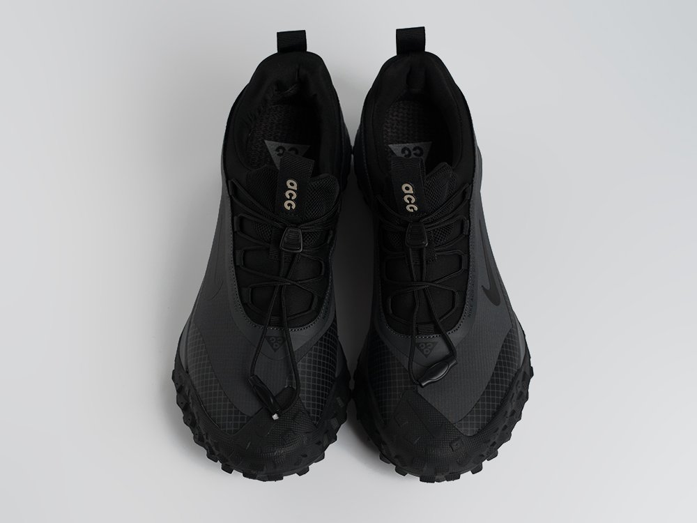 Кроссовки Nike ACG Mountain Fly Low