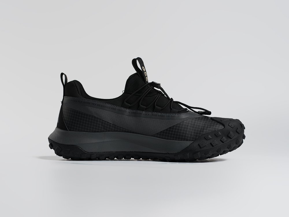 Кроссовки Nike ACG Mountain Fly Low