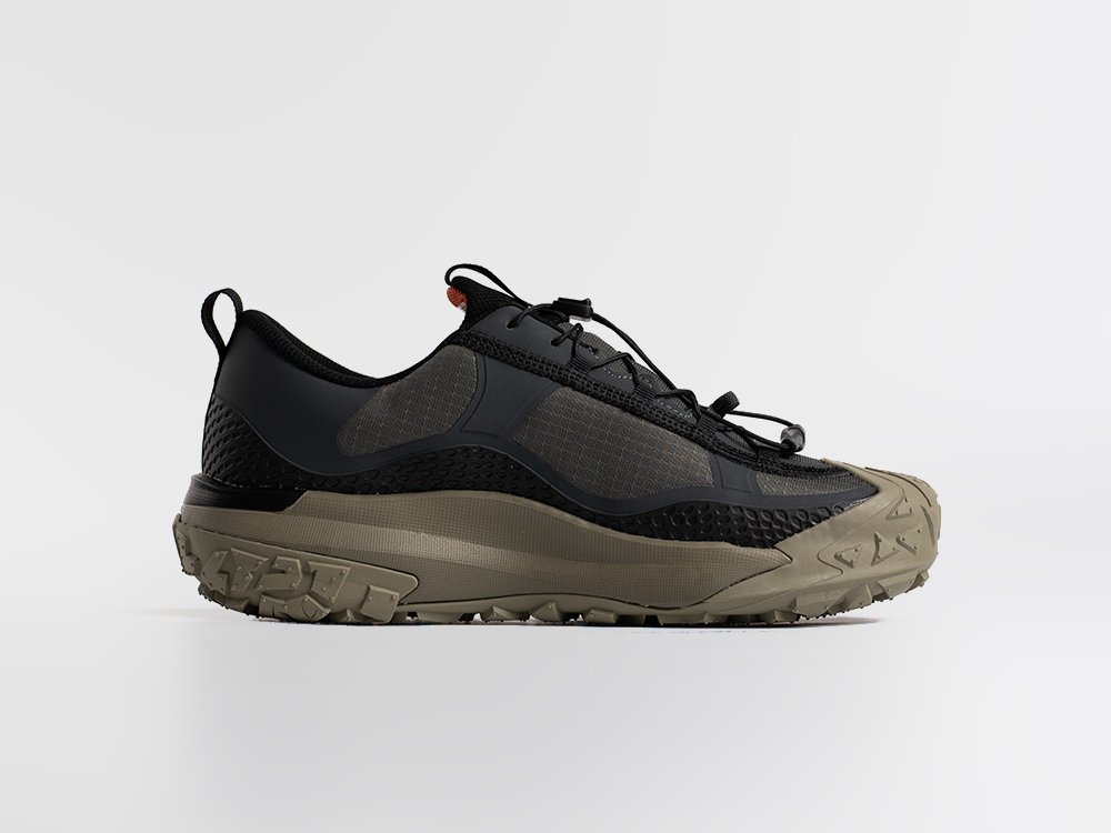 Кроссовки Nike ACG Mountain Fly Low