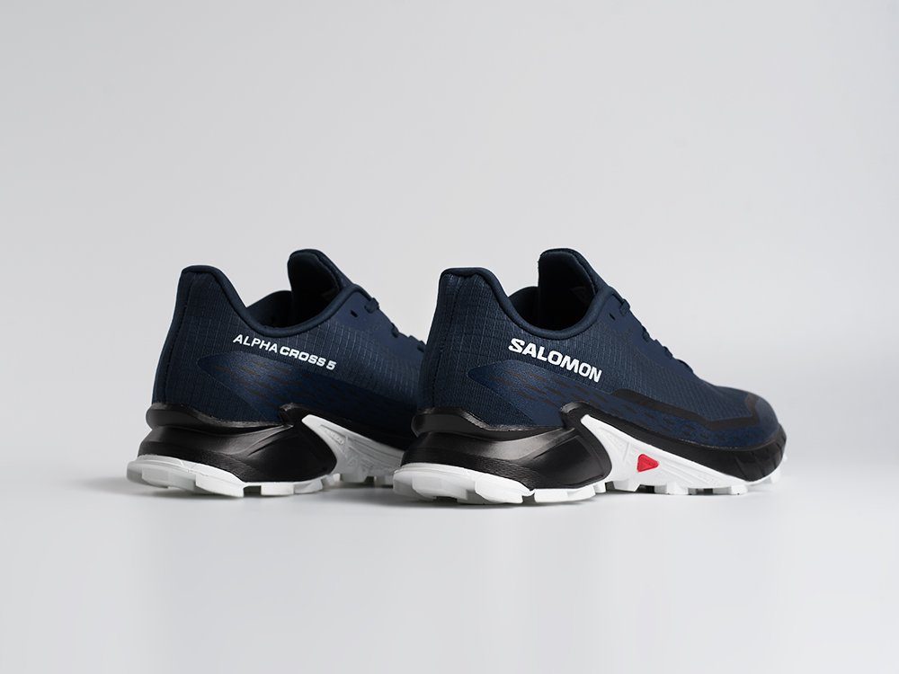 Кроссовки Salomon Alphacross 5 GTX