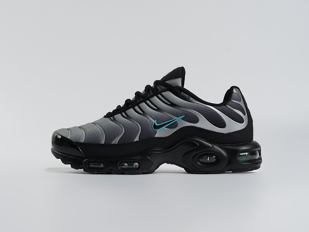 Кроссовки Nike Air Max Plus TN