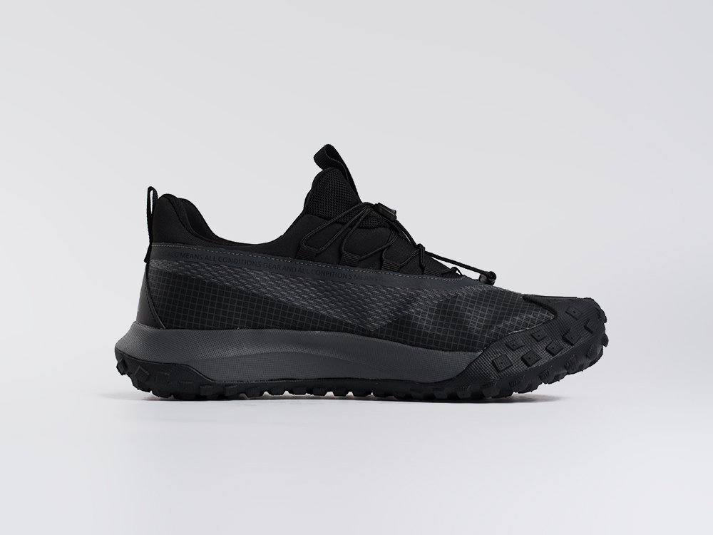 Кроссовки Nike ACG Mountain Fly Low
