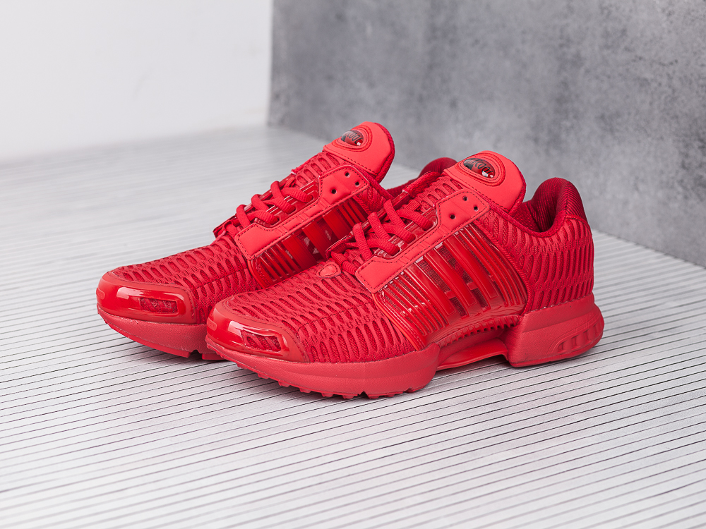 Кроссовки Adidas Climacool 1