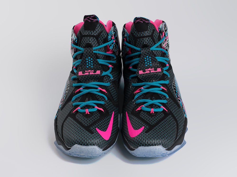 Кроссовки Nike Lebron 12