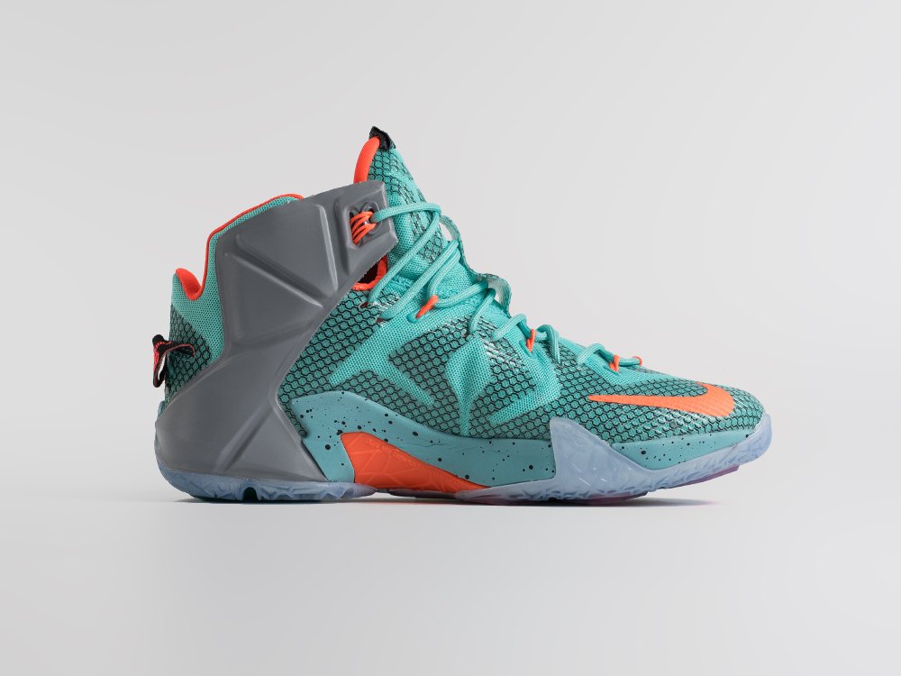 Кроссовки Nike Lebron 12