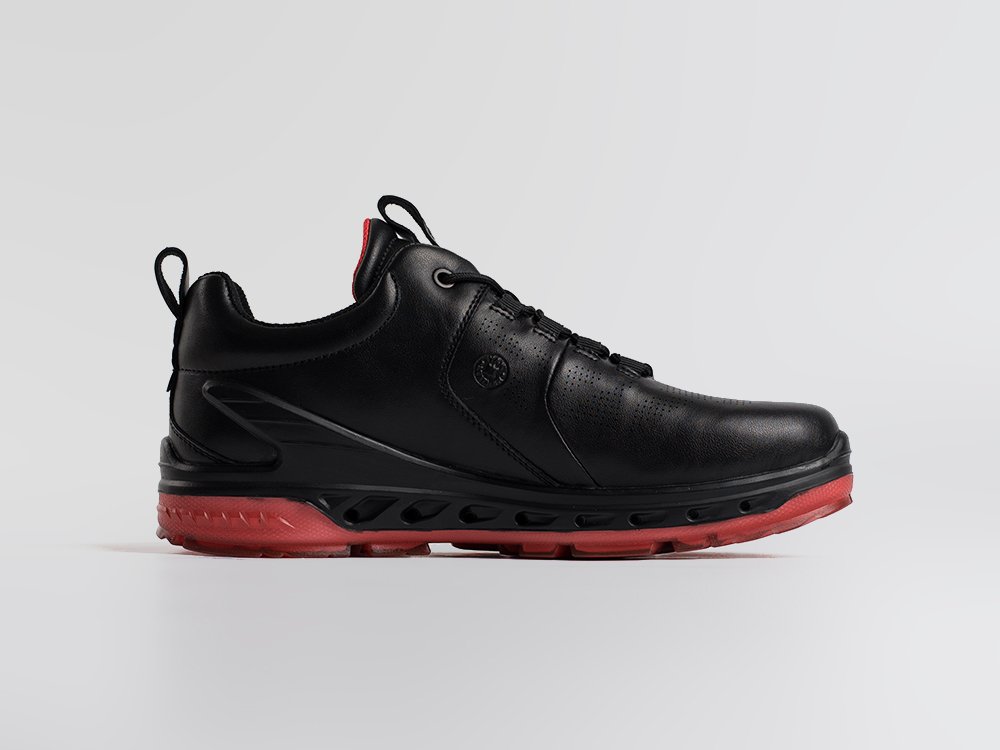 Кроссовки Ecco Biom