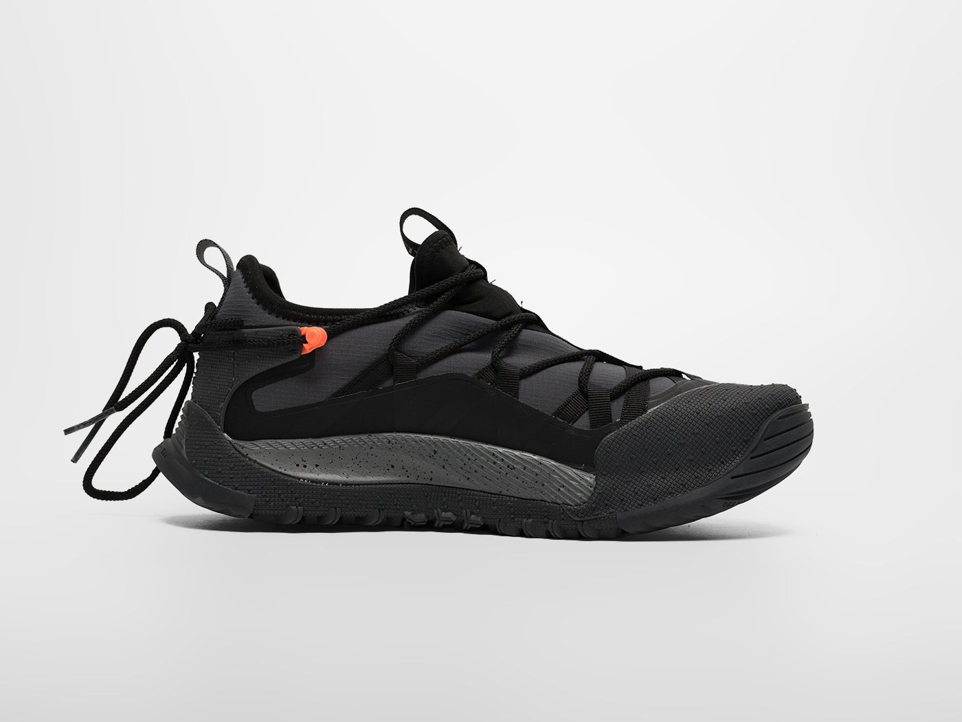 Кроссовки Nike ACG Air Terra Antarktik Low
