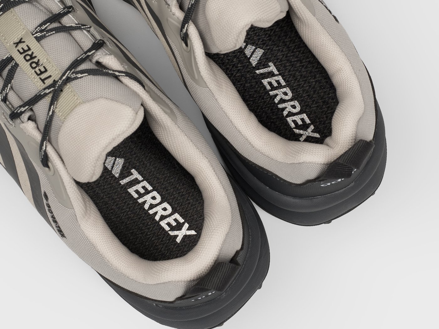 Кроссовки Adidas Terrex Skychaser AX5