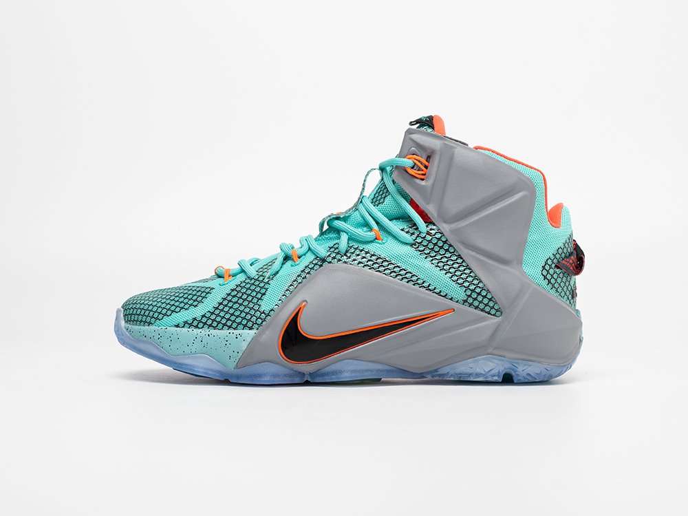 Кроссовки Nike Lebron 12
