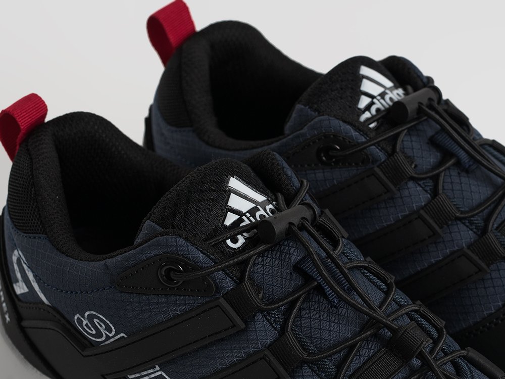 Кроссовки Adidas Terrex Swift R2 GTX