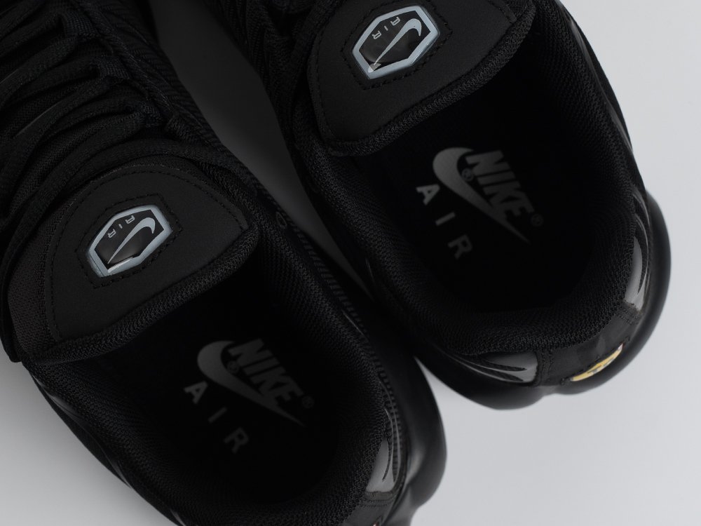 Кроссовки Nike Air Max Plus TN