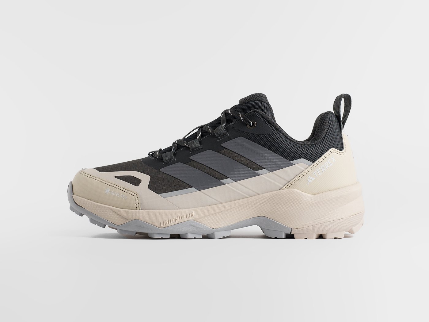 Кроссовки Adidas Terrex Skychaser AX5