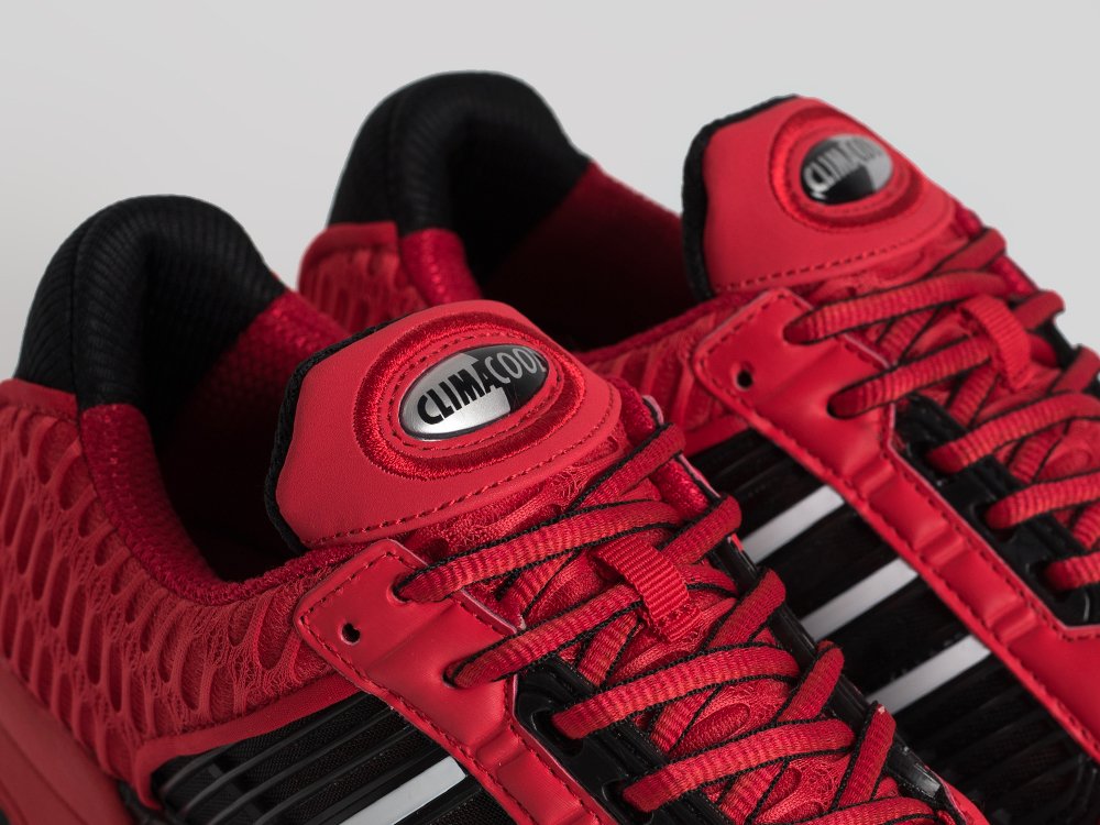 Кроссовки Adidas Climacool 1