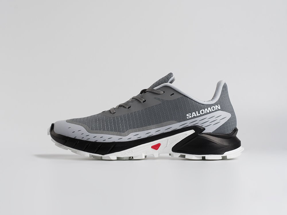 Кроссовки Salomon Alphacross 5 GTX