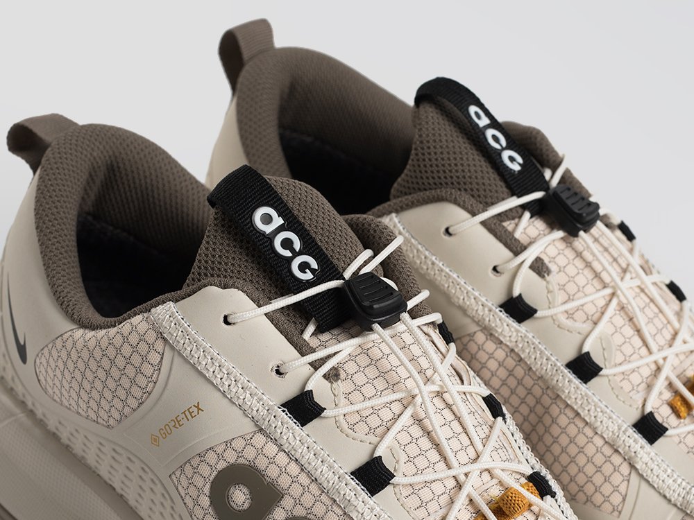 Кроссовки Nike ACG Mountain Fly Low