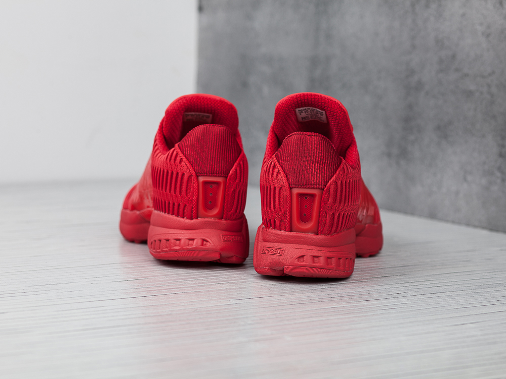 Кроссовки Adidas Climacool 1