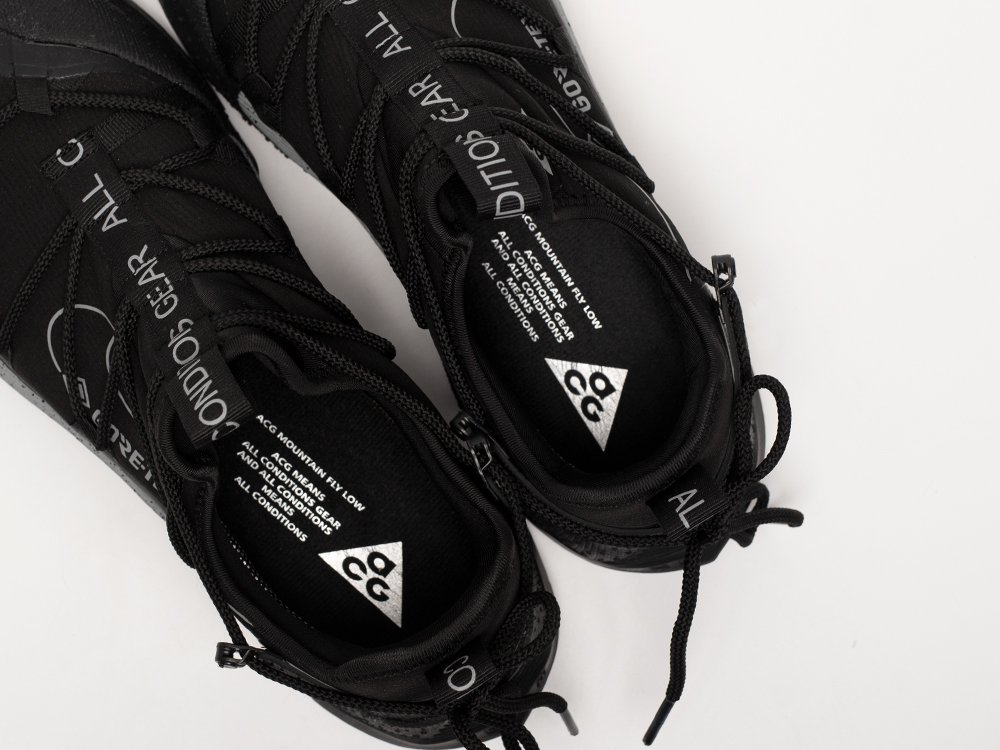 Кроссовки Nike ACG Air Terra Antarktik Low