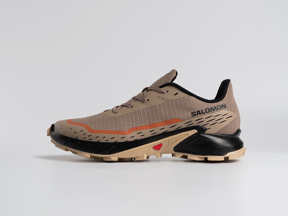Кроссовки Salomon Alphacross 5 GTX