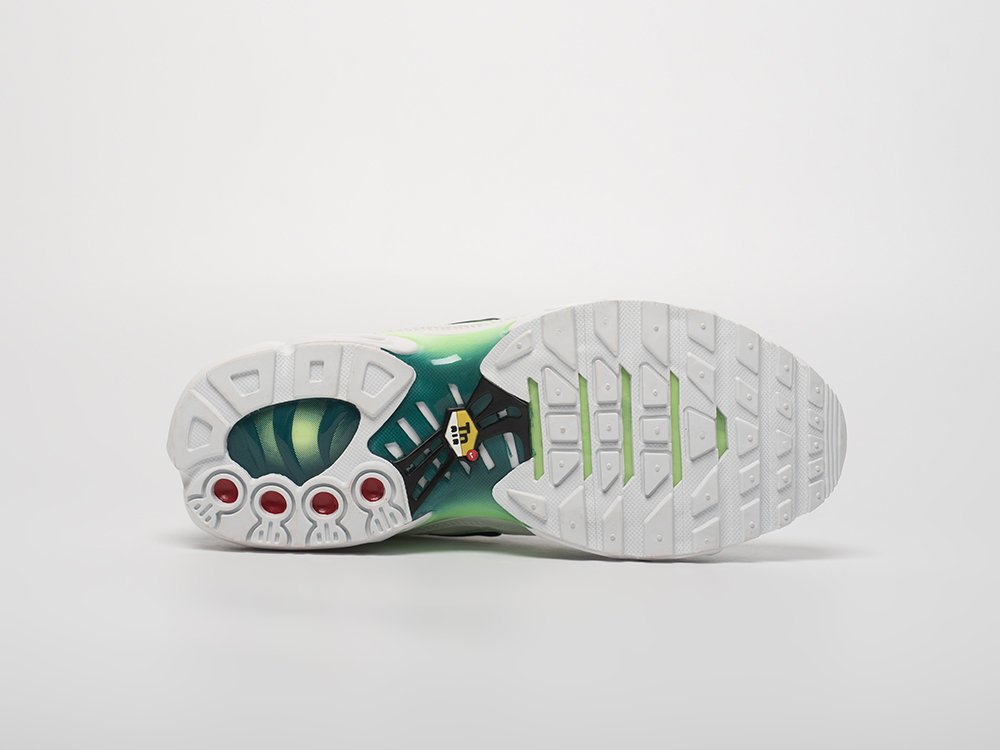 Кроссовки Nike Air Max Plus TN