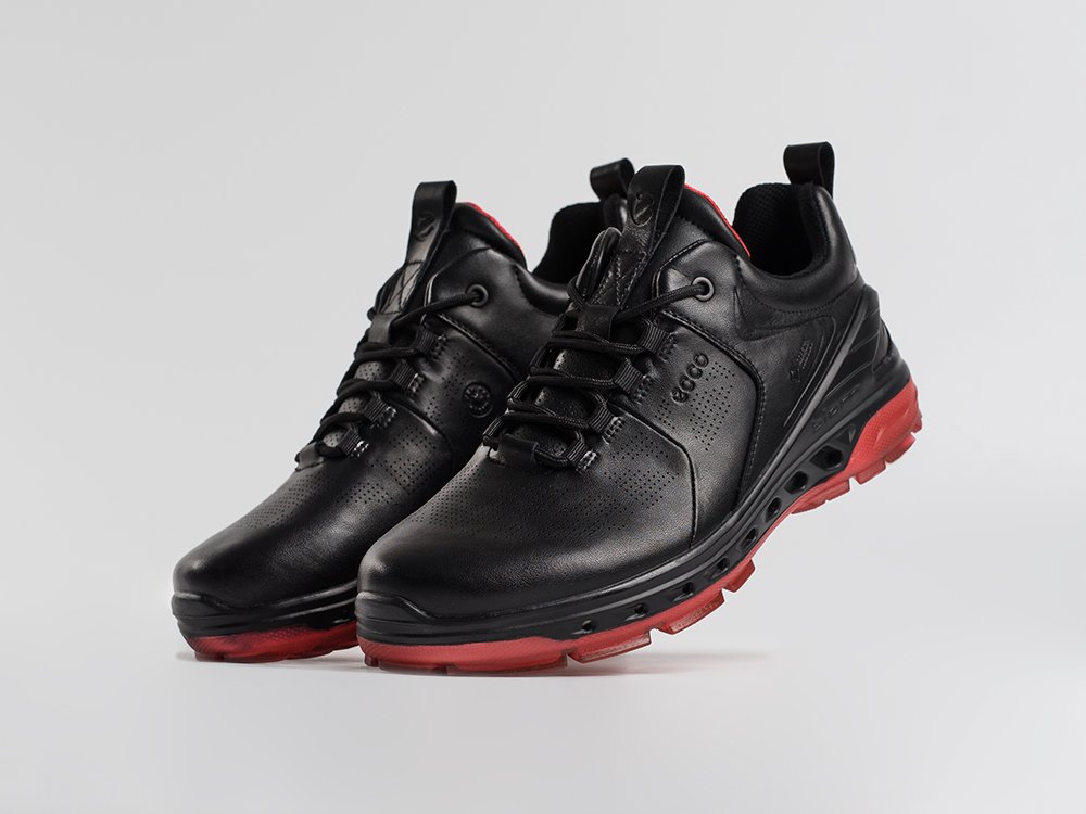 Кроссовки Ecco Biom Кроссовки Ecco Biom