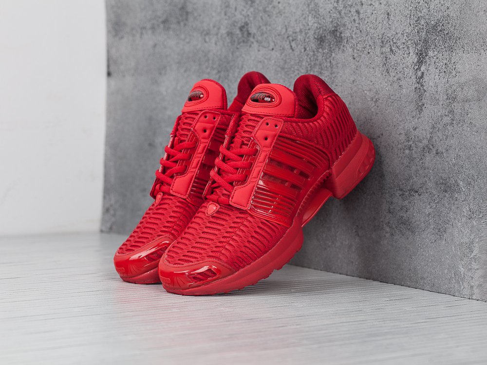 Кроссовки Adidas Climacool 1