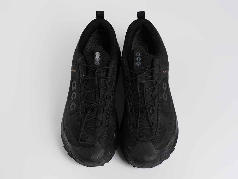 Кроссовки Nike ACG Mountain Fly Low