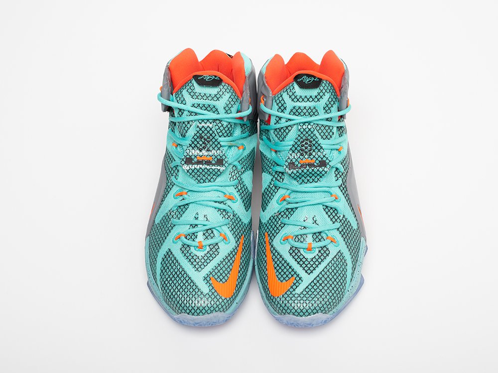 Кроссовки Nike Lebron 12