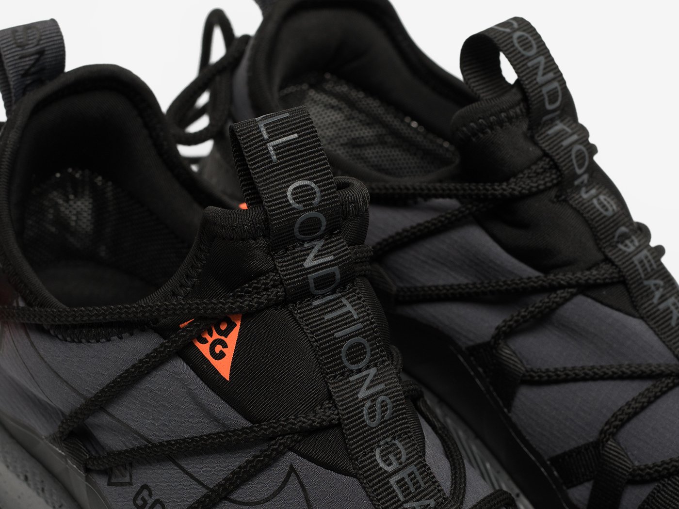 Кроссовки Nike ACG Air Terra Antarktik Low