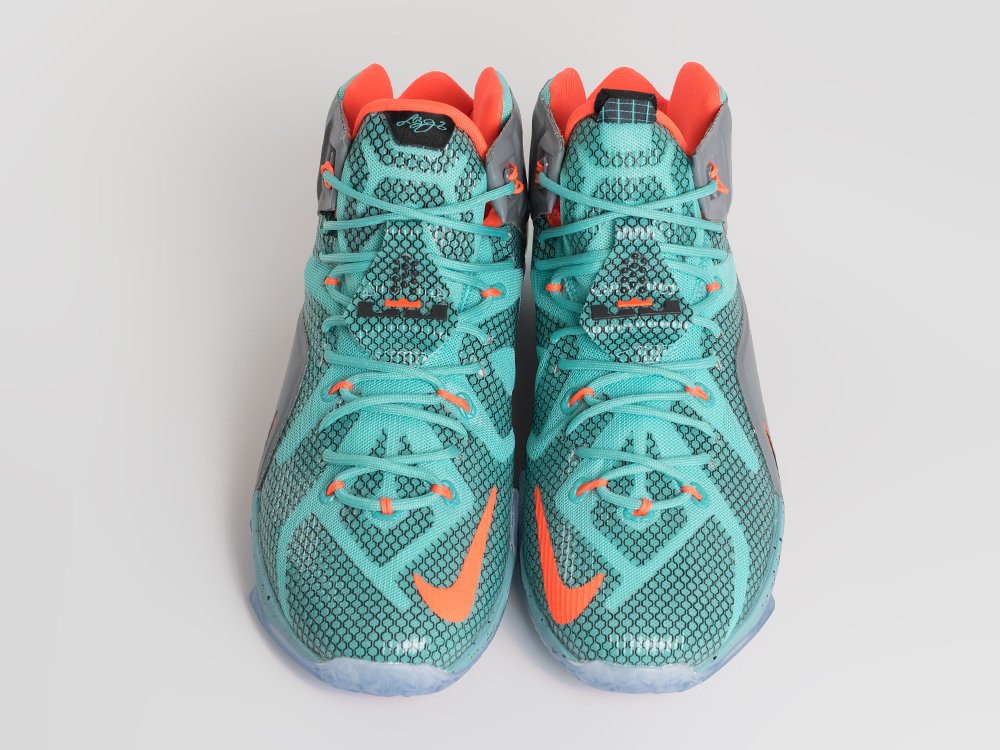 Кроссовки Nike Lebron 12