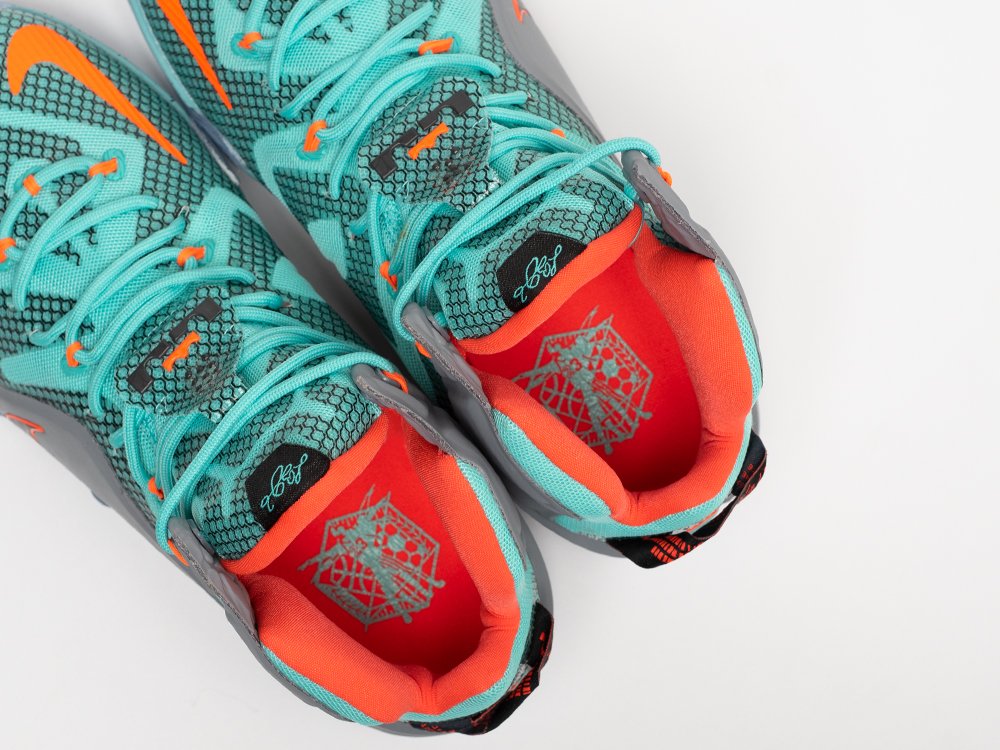 Кроссовки Nike Lebron 12