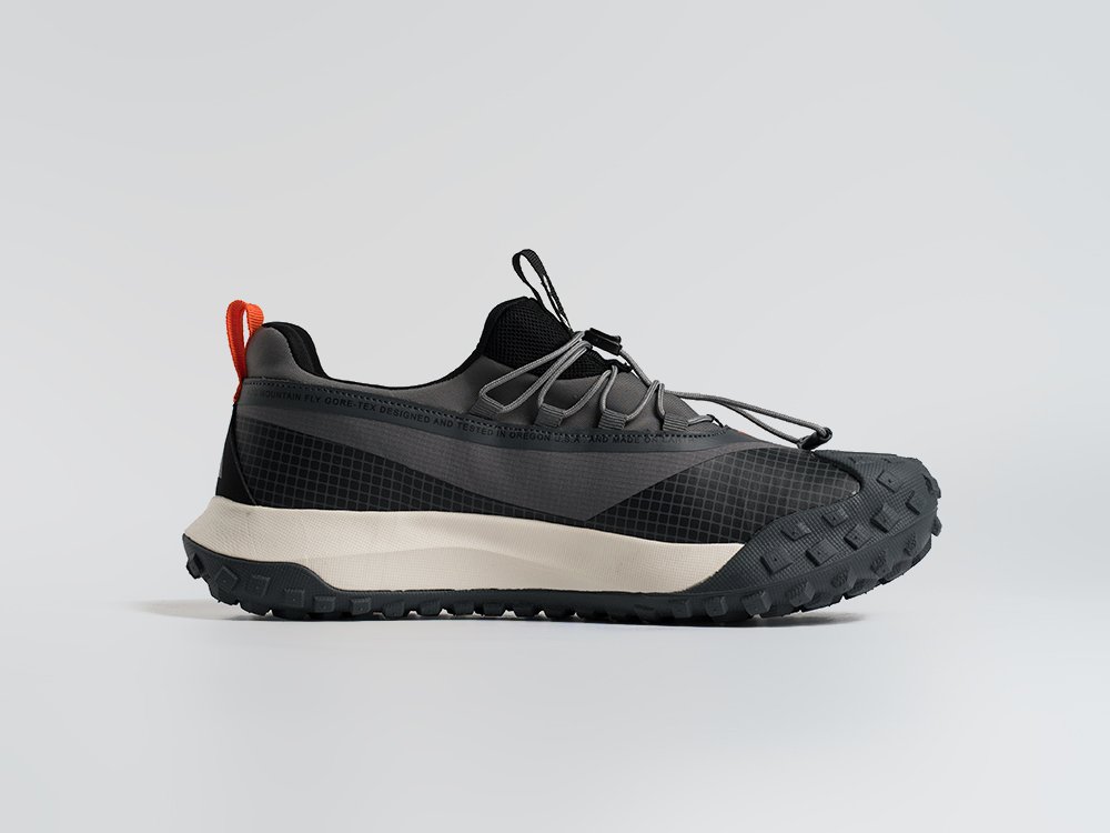 Кроссовки Nike ACG Mountain Fly Low