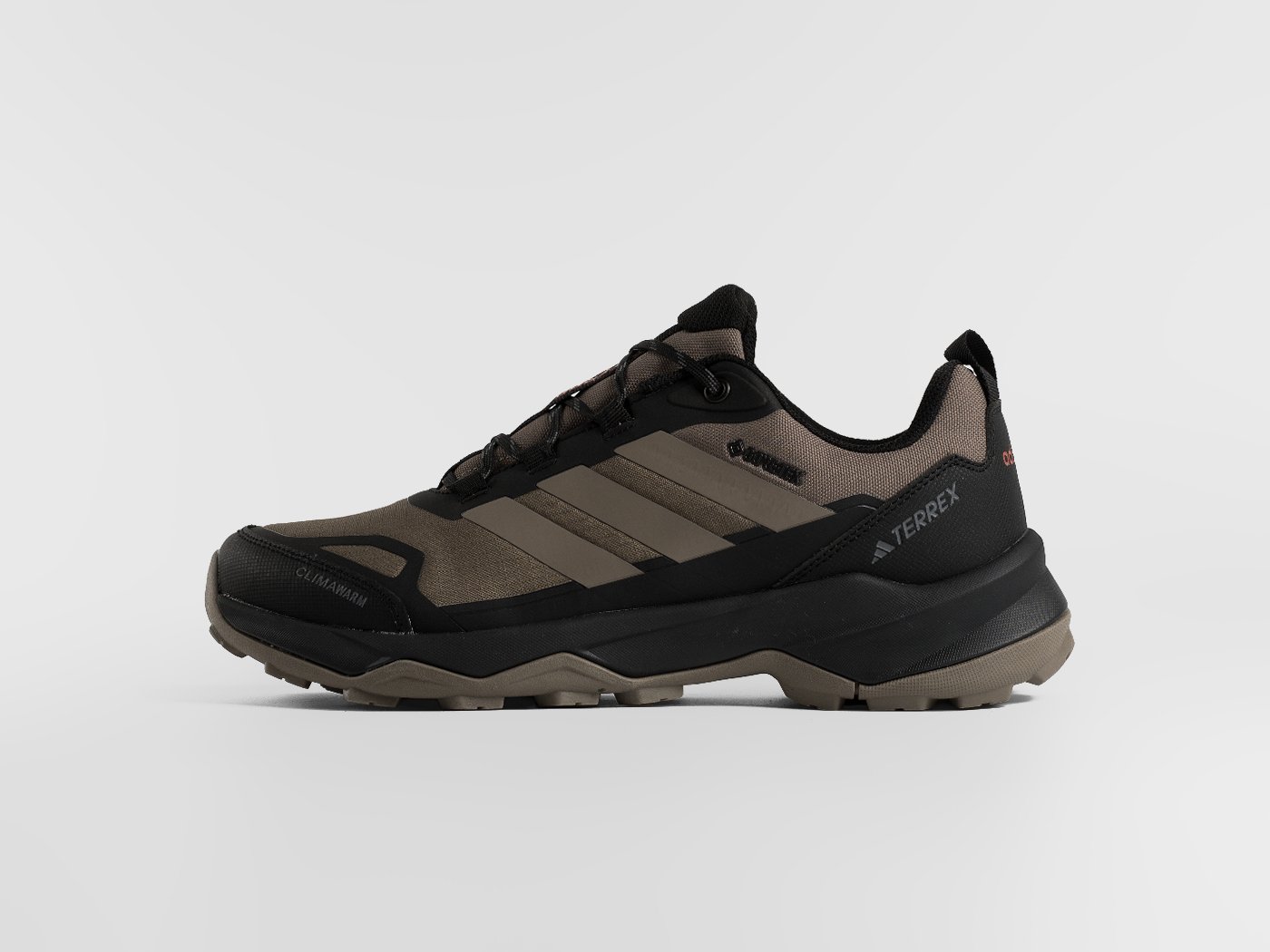 Кроссовки Adidas Terrex Skychaser AX5